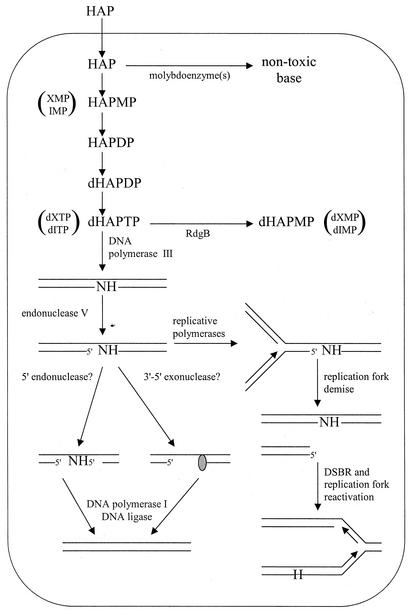 FIG. 6.