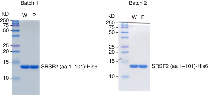 Fig. S6.