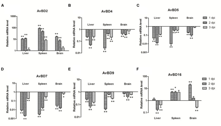 FIGURE 3