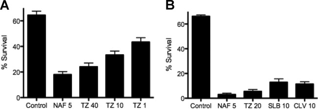 FIG 4