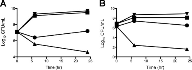 FIG 5