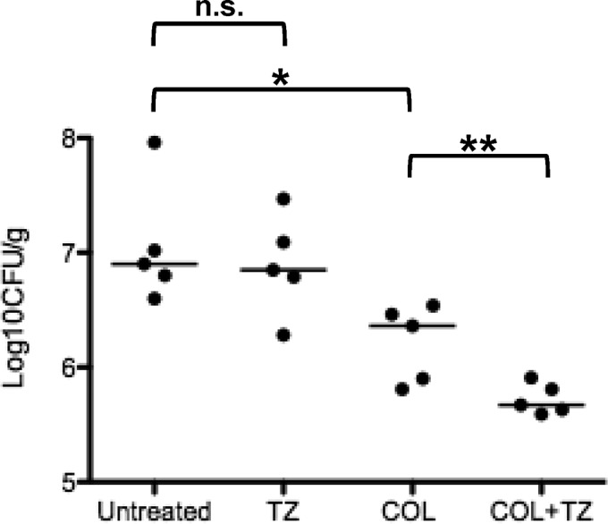 FIG 6