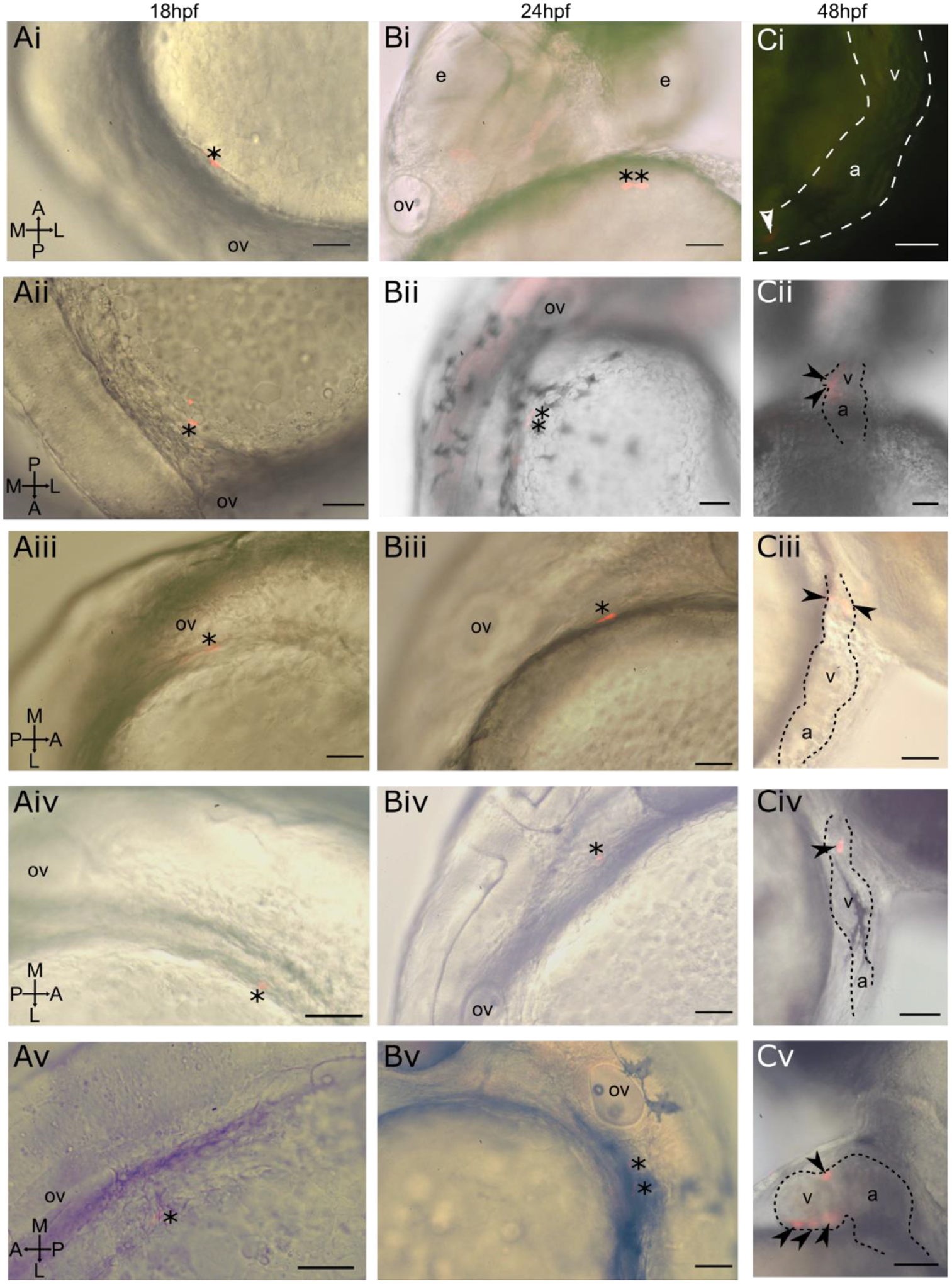 Figure 3-