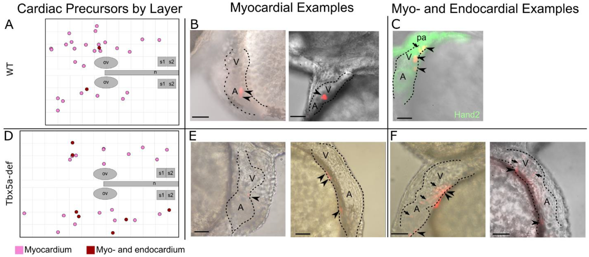 Figure 2-