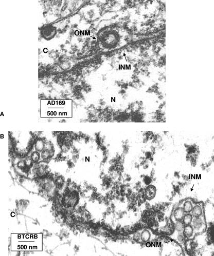 FIG. 7.