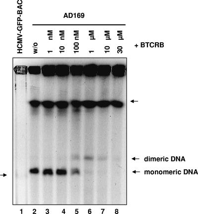 FIG. 9.