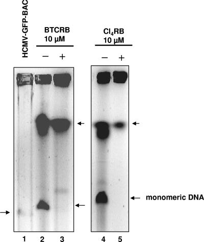 FIG. 8.