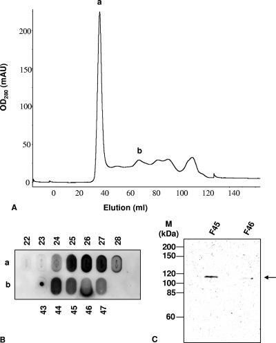 FIG. 2.