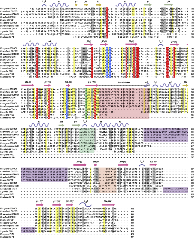 Figure 4