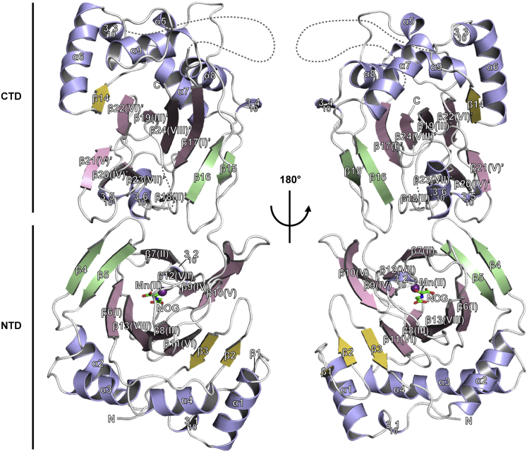 Figure 2