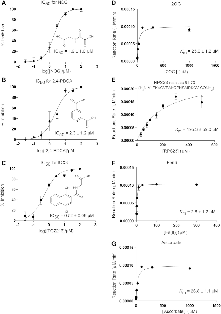 Figure 6