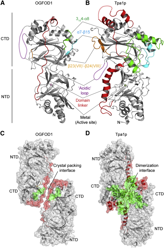 Figure 3