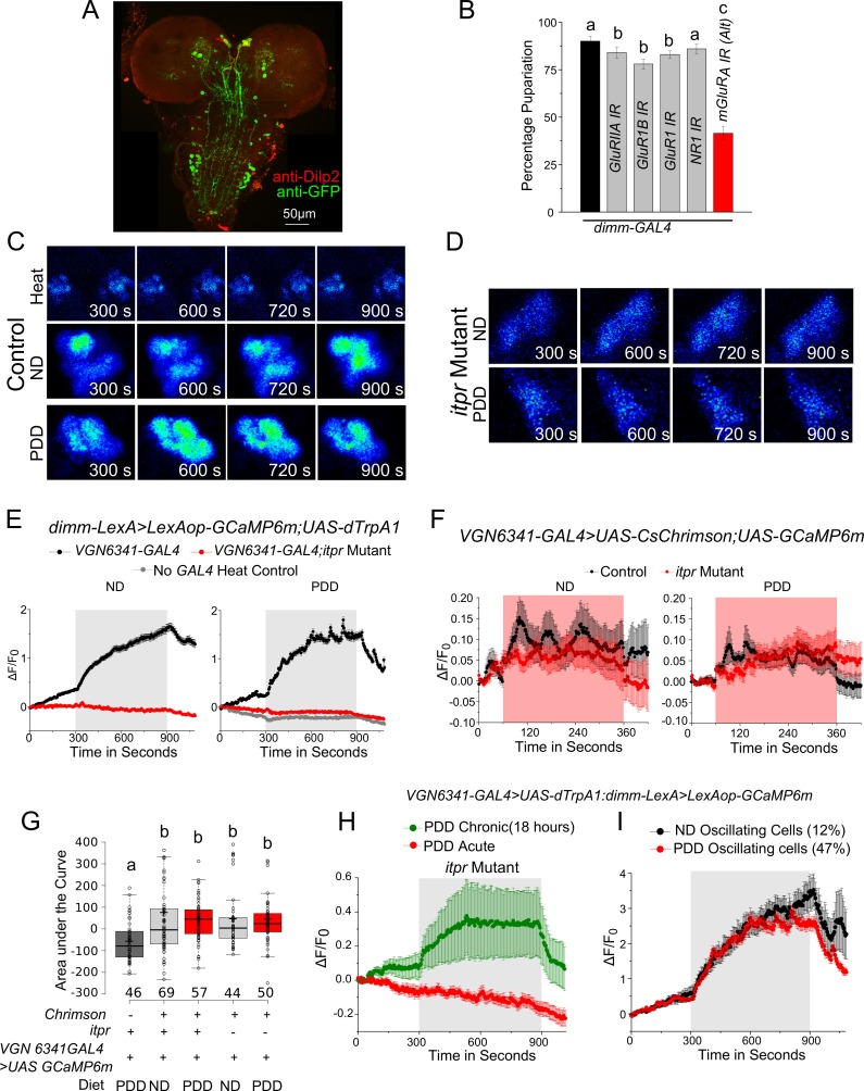 Figure 5—figure supplement 1.