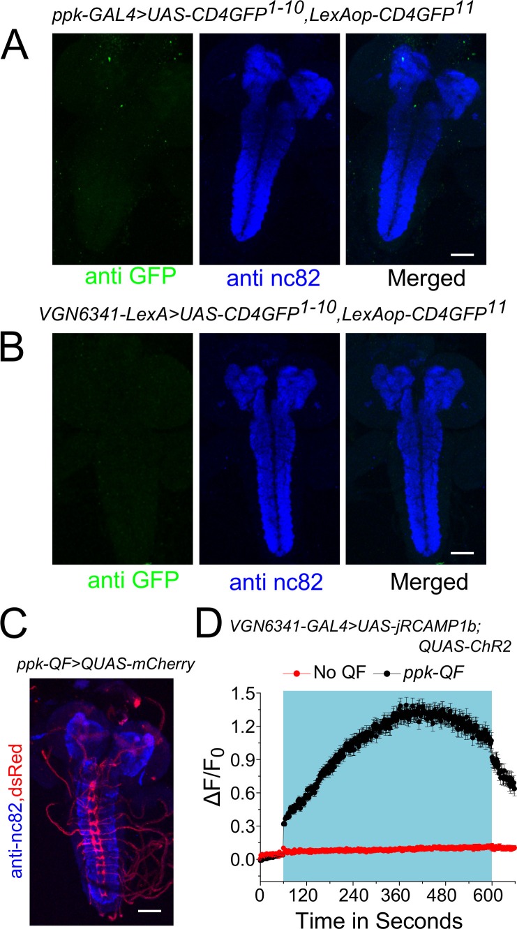 Figure 3—figure supplement 3.