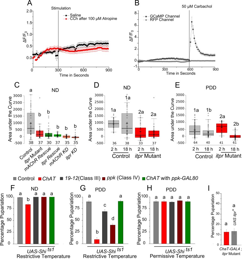 Figure 3—figure supplement 2.