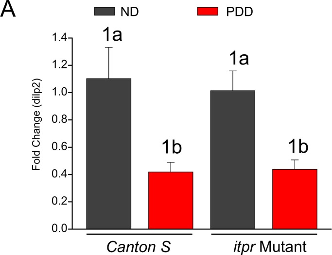 Figure 8—figure supplement 1.