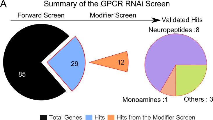 Figure 3—figure supplement 1.