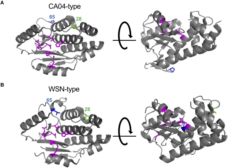 FIGURE 4