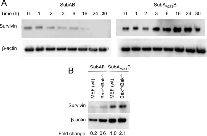 FIG. 5.