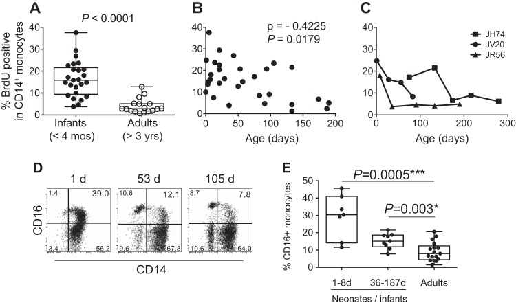 FIG 1