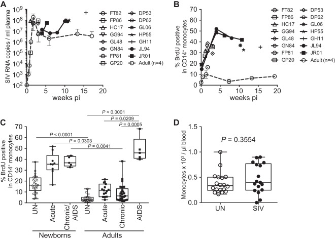 FIG 2