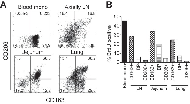 FIG 3