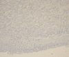 Figure 3)