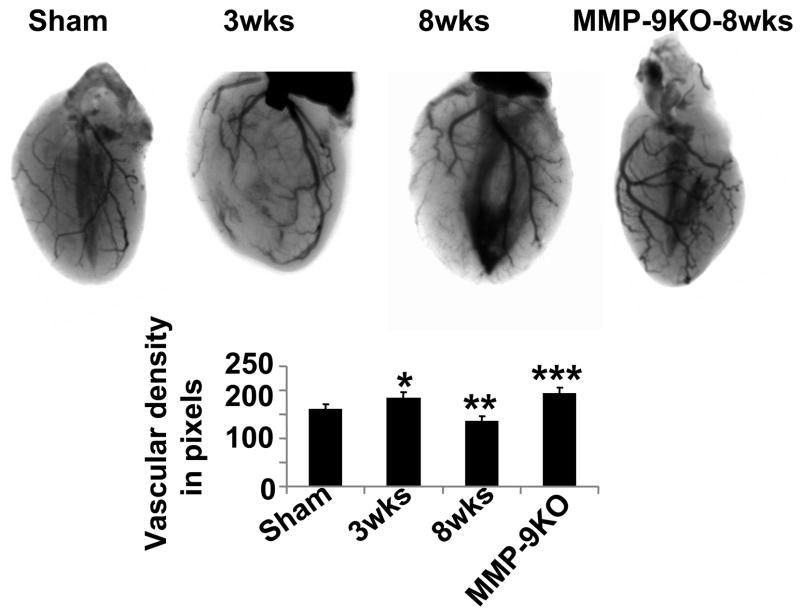 Figure 11