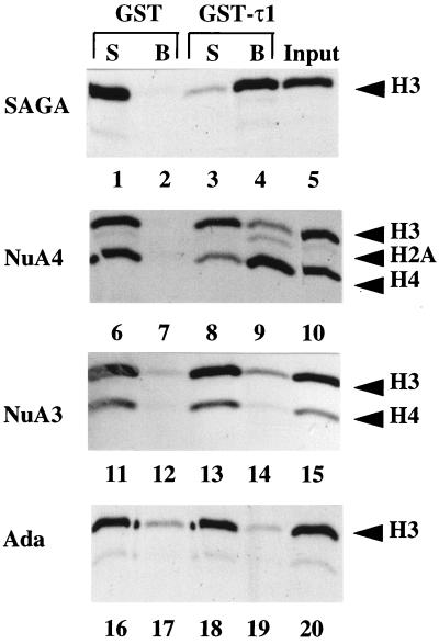 FIG. 1