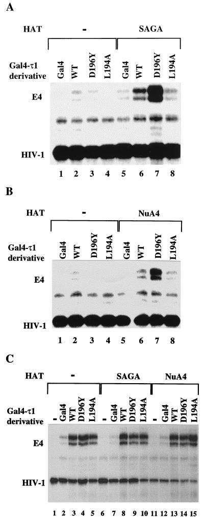 FIG. 5