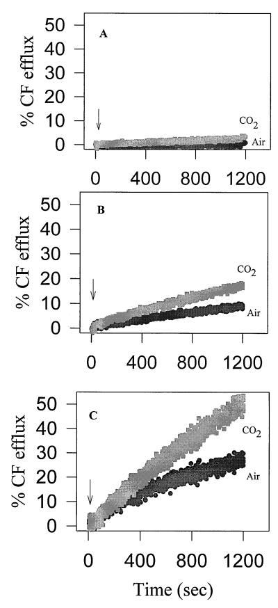 FIG. 5