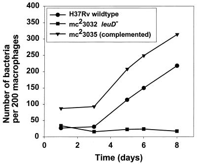 FIG. 3