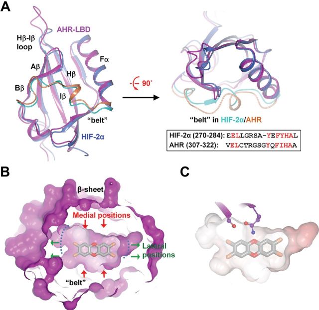 FIG. 1.