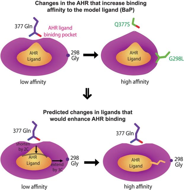 FIG. 7.