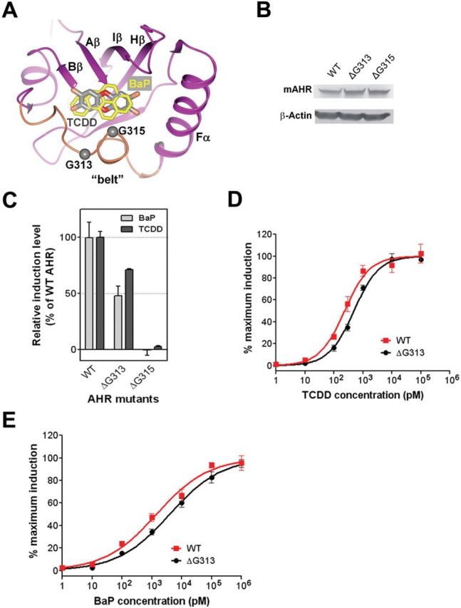 FIG. 4.