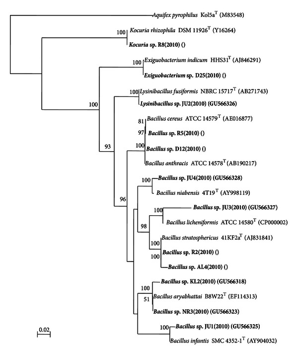 Figure 1