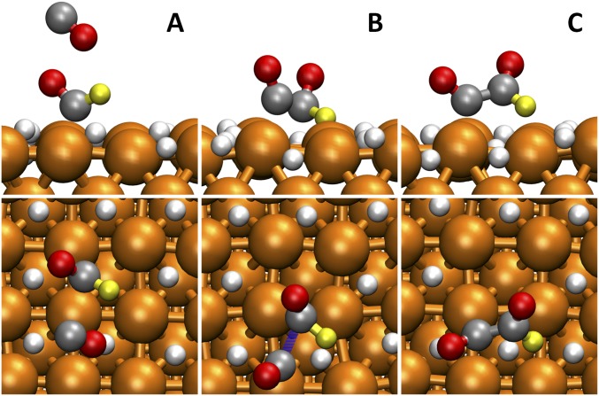 Fig. 7.