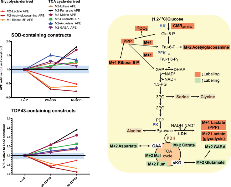 Supplemental Figure 6