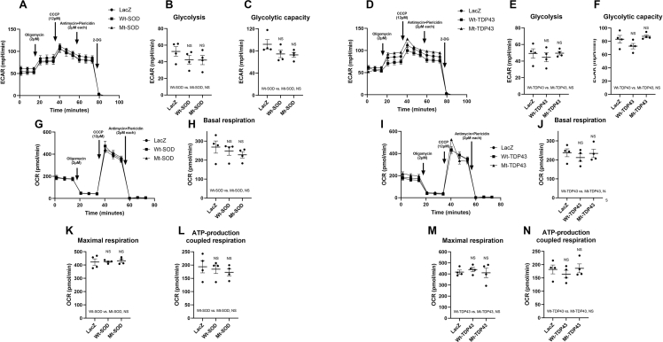 Supplemental Figure 4