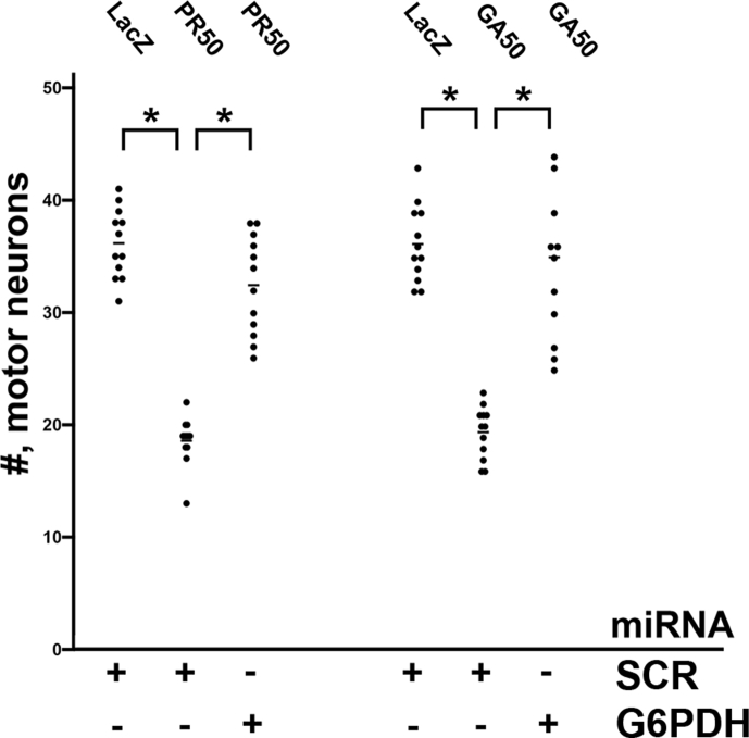 Supplemental Figure 8