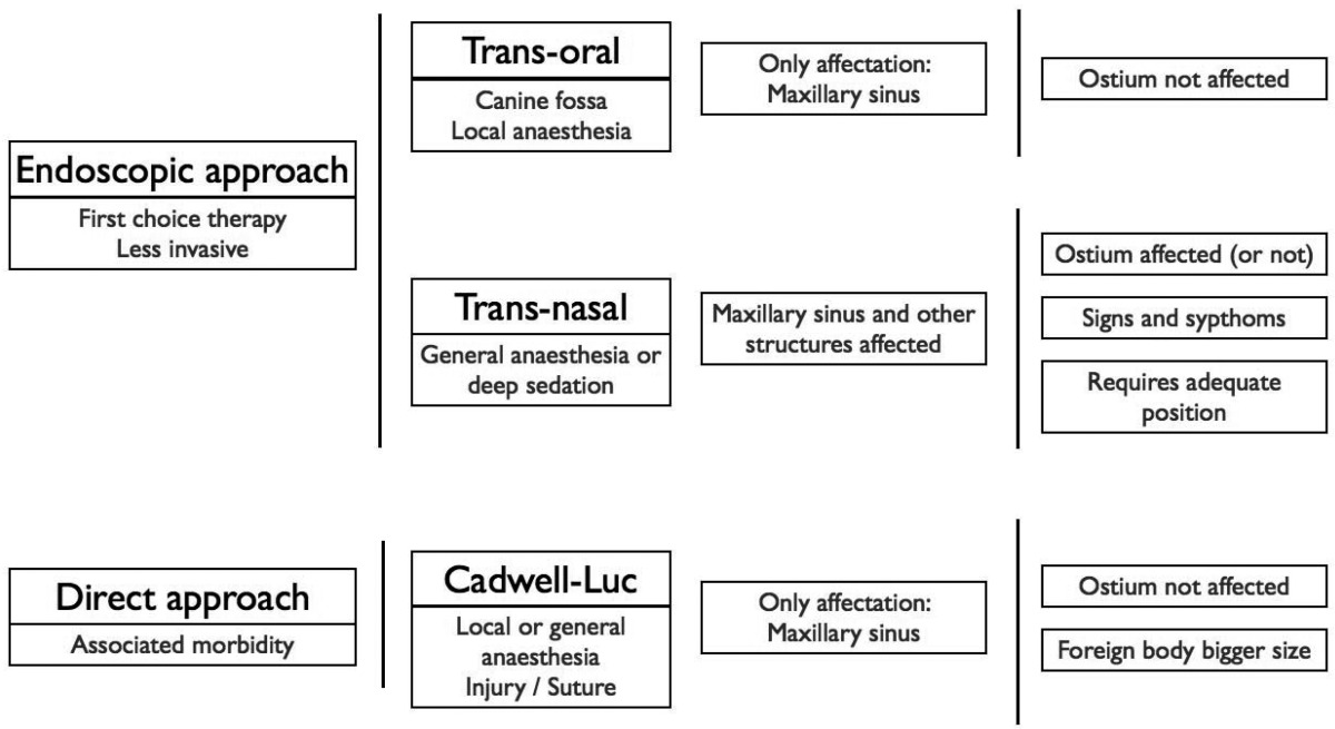 graphic file with name medoral-17-e769-t002.jpg