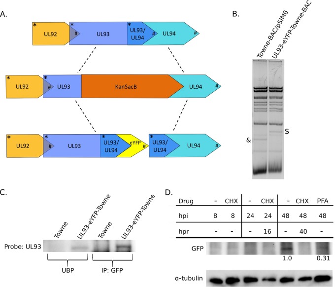 FIG 1