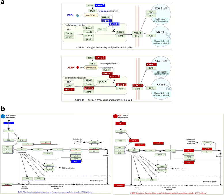 Fig. 6