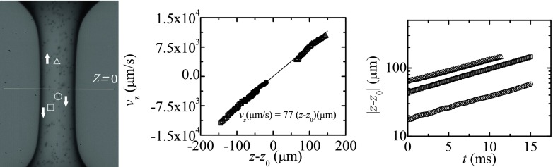 Fig. 10