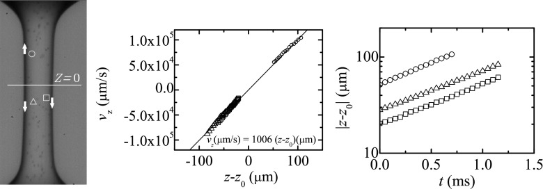 Fig. 11