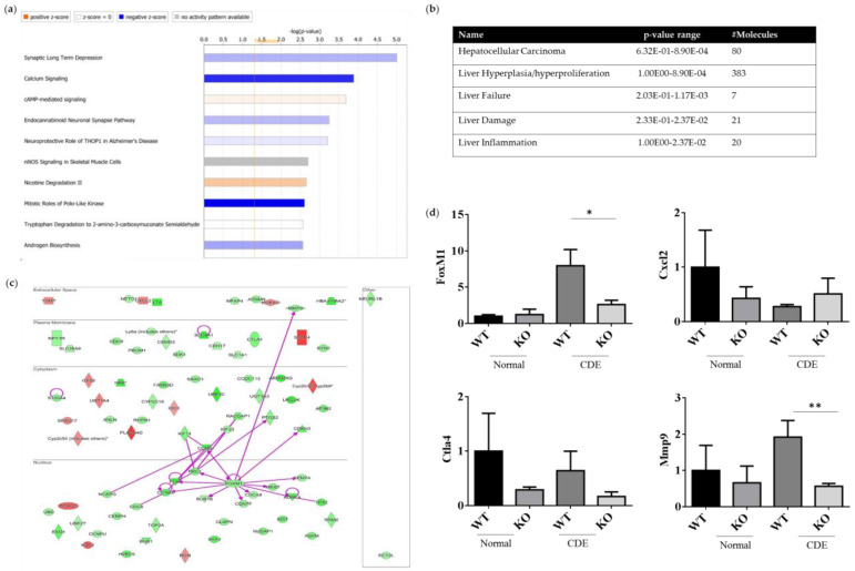 Liver Fibrosis and Inflammation under the Control of ERK2 - PMC