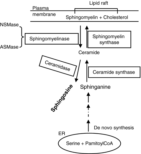 FIG. 10.