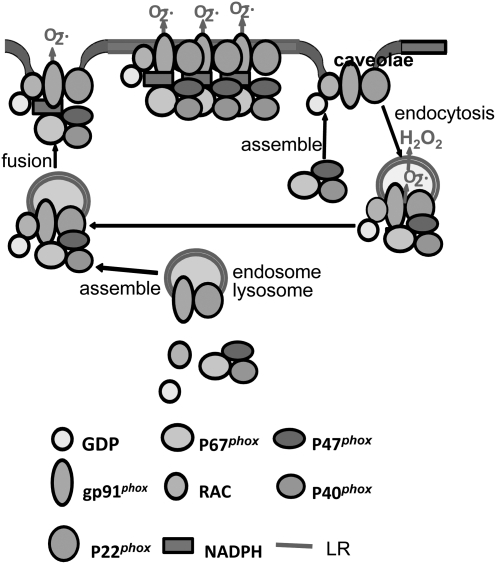 FIG. 9.