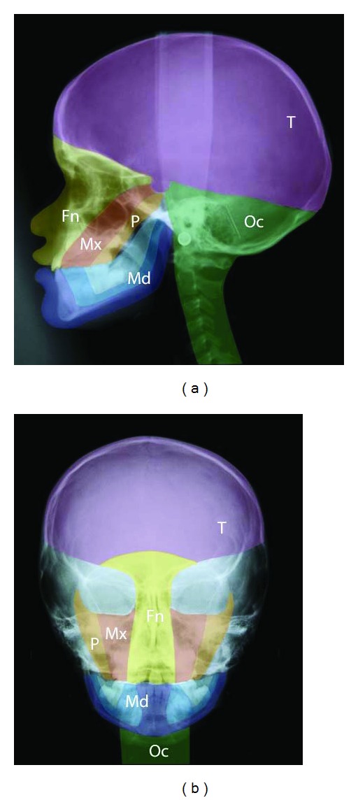 Figure 2