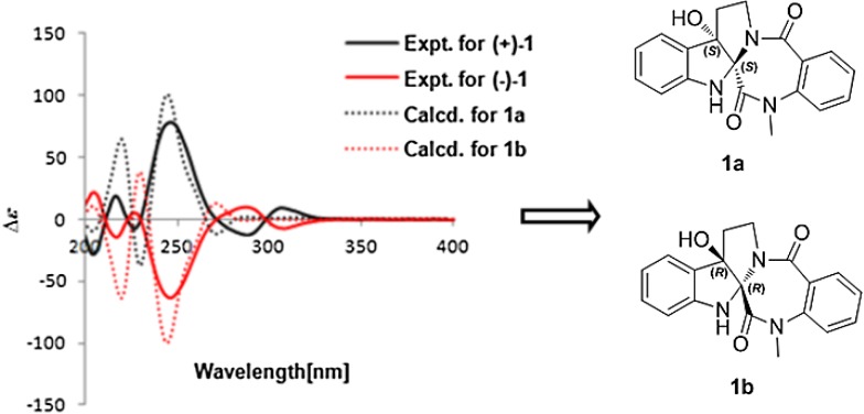 Fig. 6